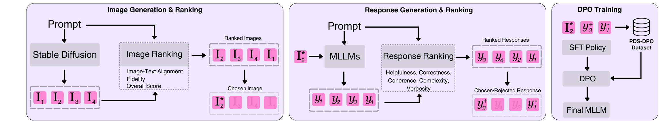 Illustration of the PDS-DPO frmework